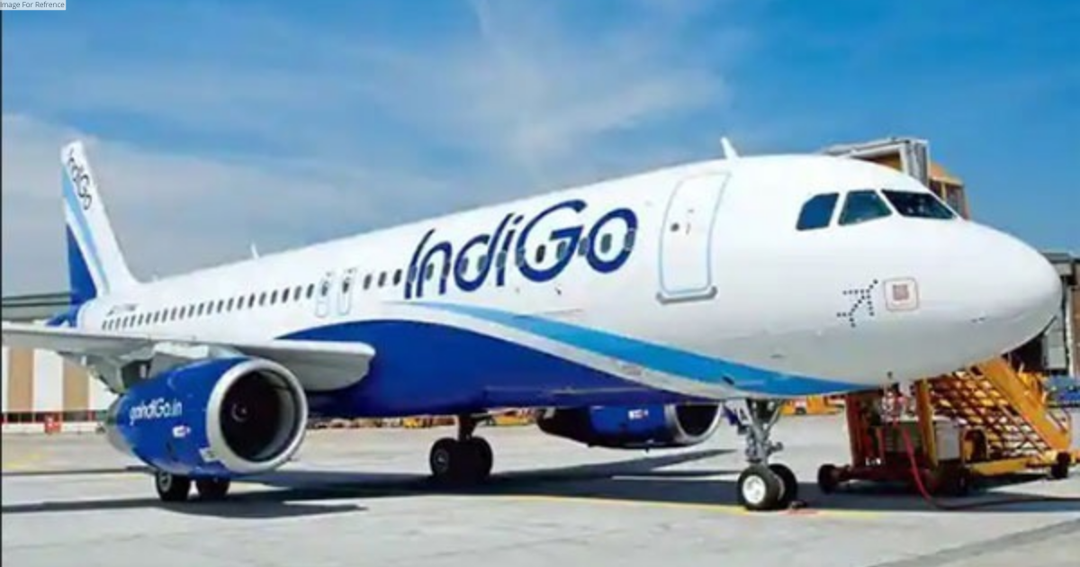IndiGo denies reports of wet lease of wide-body aircraft to US- Canada operations